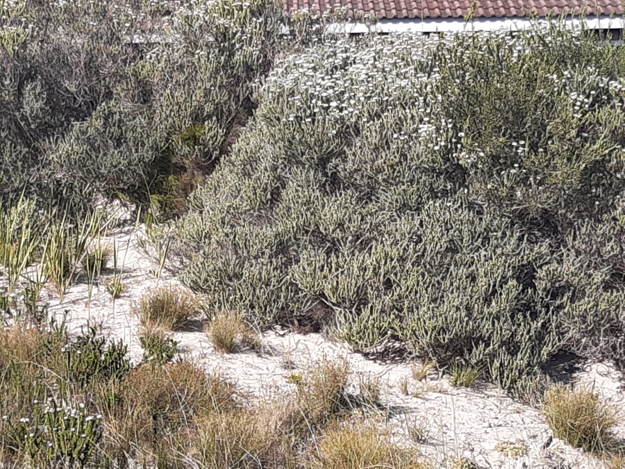 0 Bedroom Property for Sale in Paradise Beach Eastern Cape
